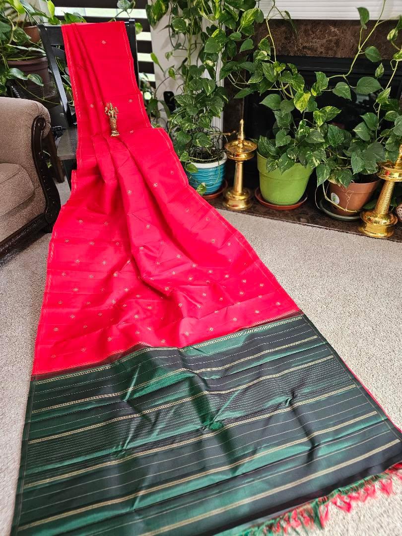 Pure Kanchi pattu