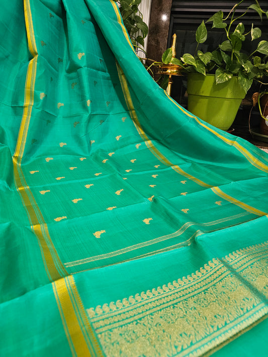 Pure Kanchi Pattu