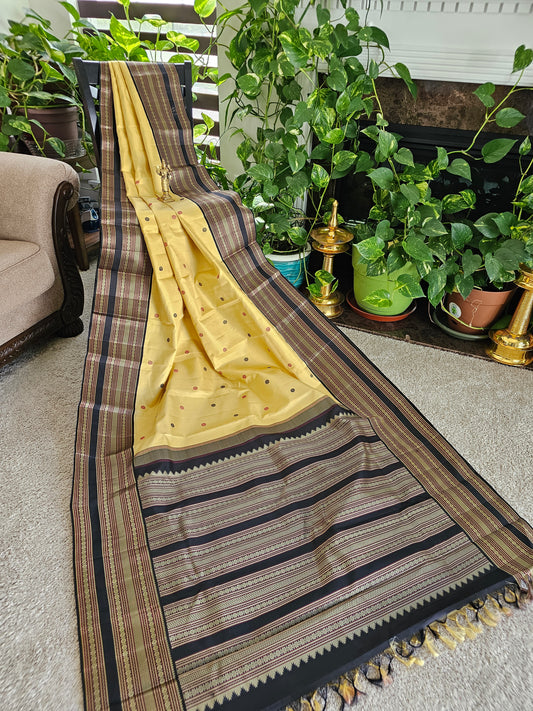 Pure Kanchi pattu no zari