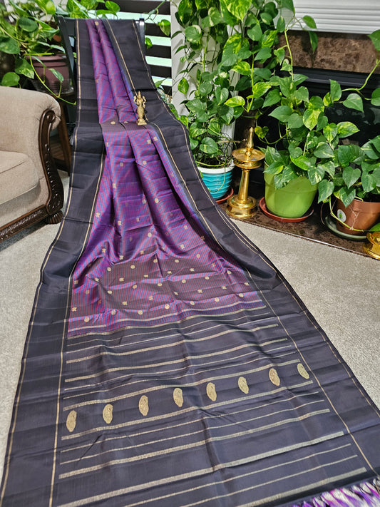 Pure kanchi pattu