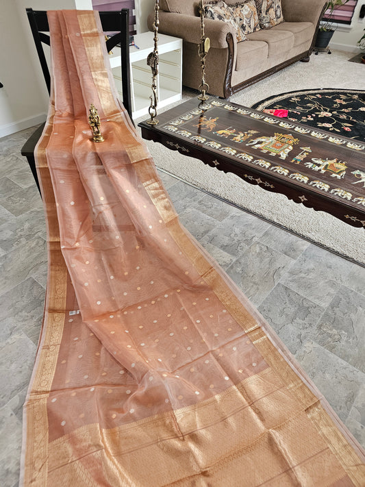 Pure Banaras Tissue Saree