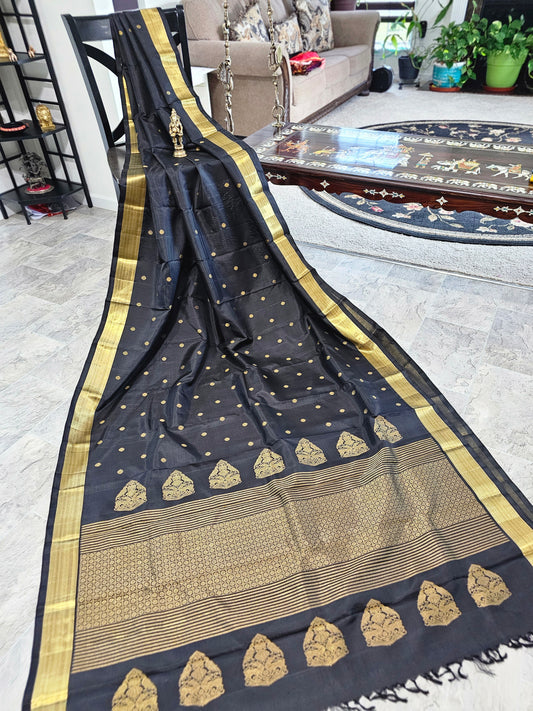 Krishnamoorthy sir special-Kanchi pattu