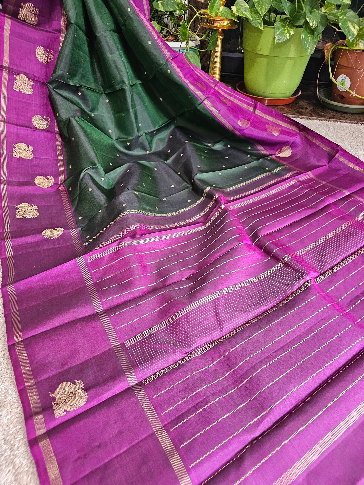 Pure kanchi pattu