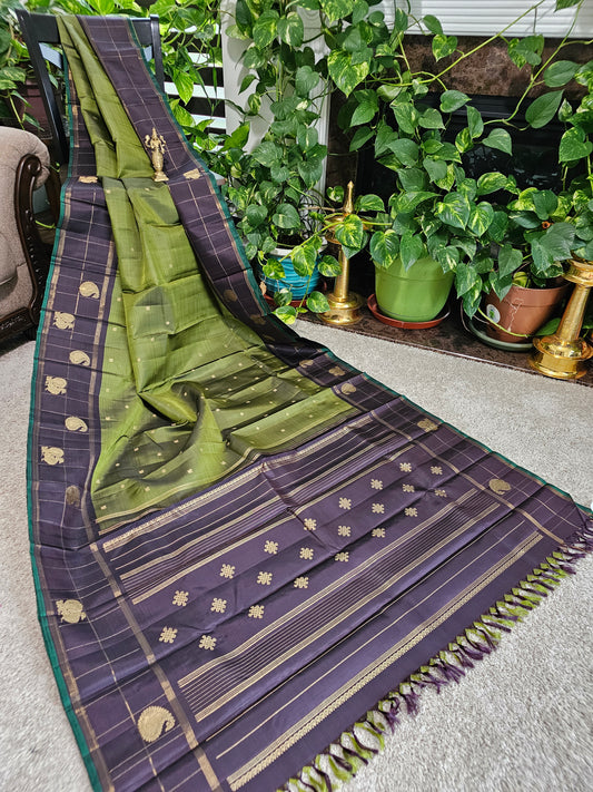 Pure kanchi pattu